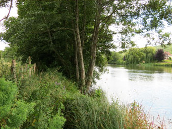 Chemin pedestre et petit coin pour la pêche.
